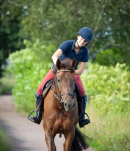 Activity - horseback riding